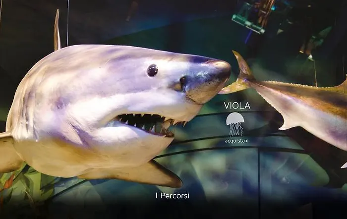 Domus מלון דירות 4*